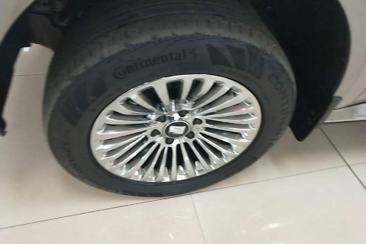 Used Tank 500 New Energy 2023 Hi4-T Exterior 4