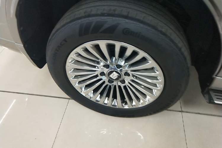 Used Tank 500 New Energy 2023 Hi4-T Exterior 5