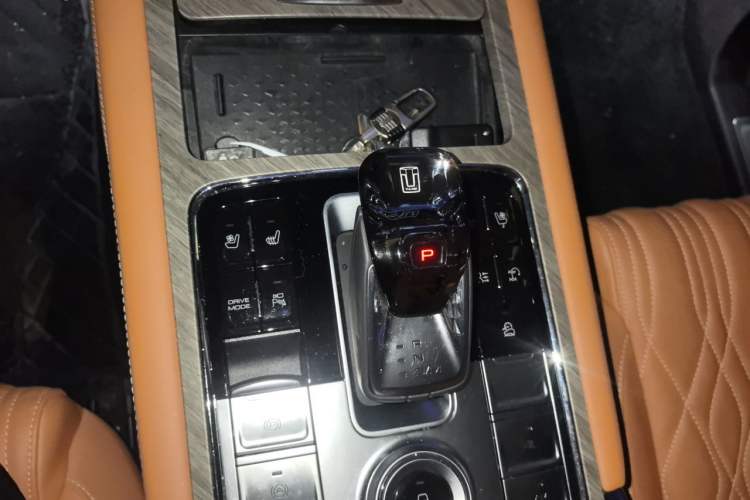 Used Tank 500 New Energy 2023 Hi4-T Gear Lever