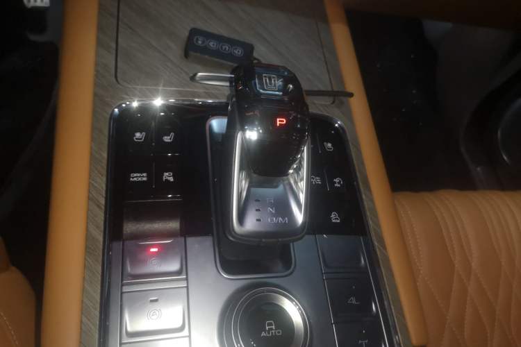 Used Tank 500 New Energy 2023 Hi4-T Gear Lever