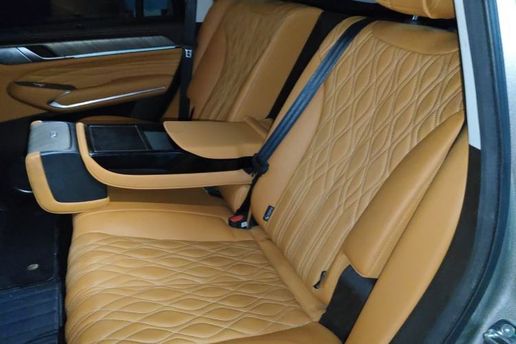 Used Tank 500 New Energy 2023 Hi4-T Left Rear Seat