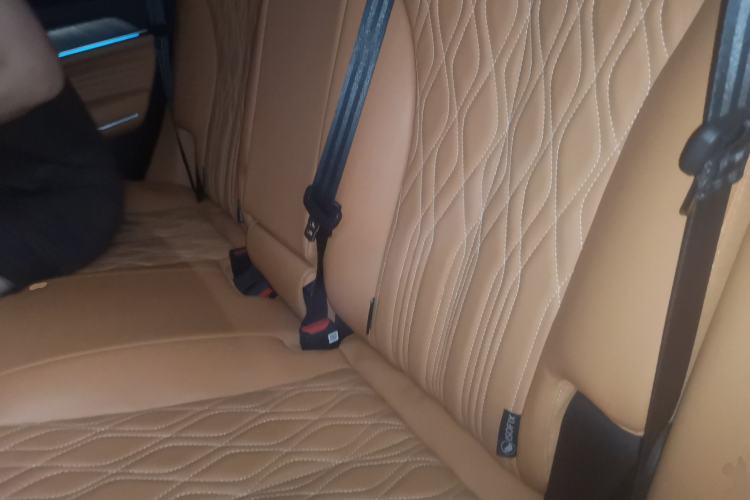 Used Tank 500 New Energy 2023 Hi4-T Left Rear Seat