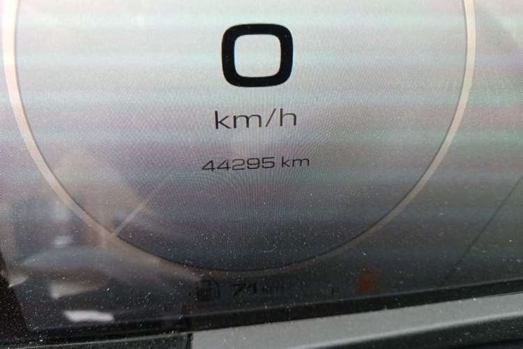 Used Tank 500 New Energy 2023 Hi4-T Odometer Close Up