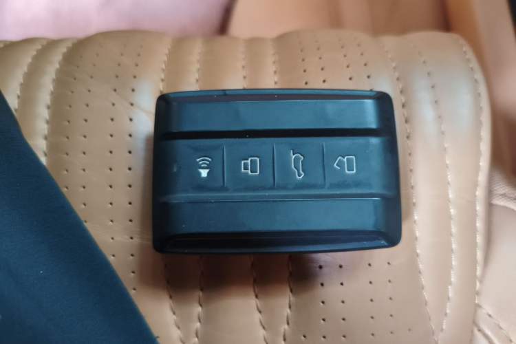 Used Tank 500 New Energy 2023 Hi4-T Vehicle Key