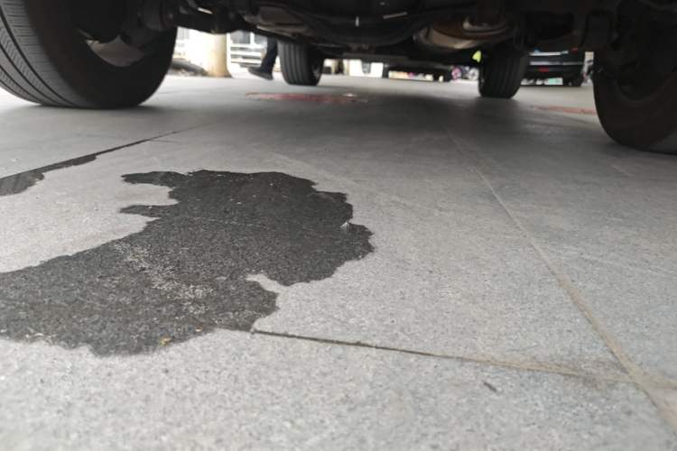 Used Tank 500 New Energy 2023 Hi4-T Chassis Rear