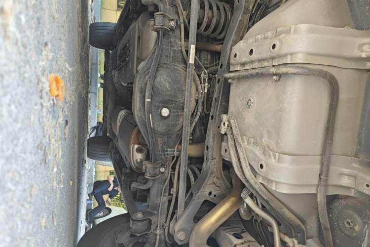 Used Tank 500 New Energy 2023 Hi4-T Chassis Rear
