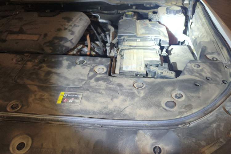 Used Tank 500 New Energy 2023 Hi4-T Engine Bay Left