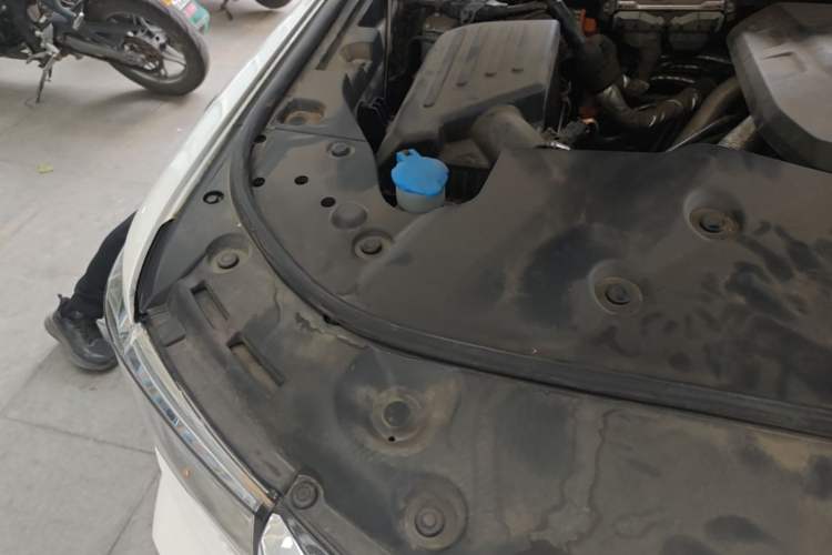 Used Tank 500 New Energy 2023 Hi4-T Engine Bay Right