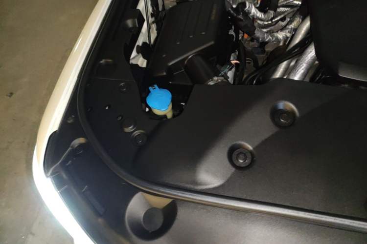 Used Tank 500 New Energy 2023 Hi4-T Engine Bay Right