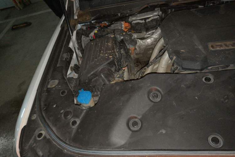 Used Tank 500 New Energy 2023 Hi4-T Engine Bay Right