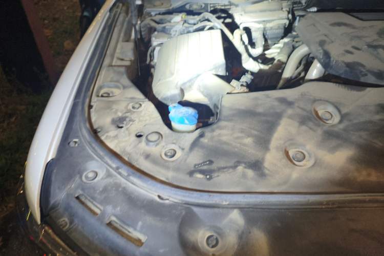 Used Tank 500 New Energy 2023 Hi4-T Engine Bay Right