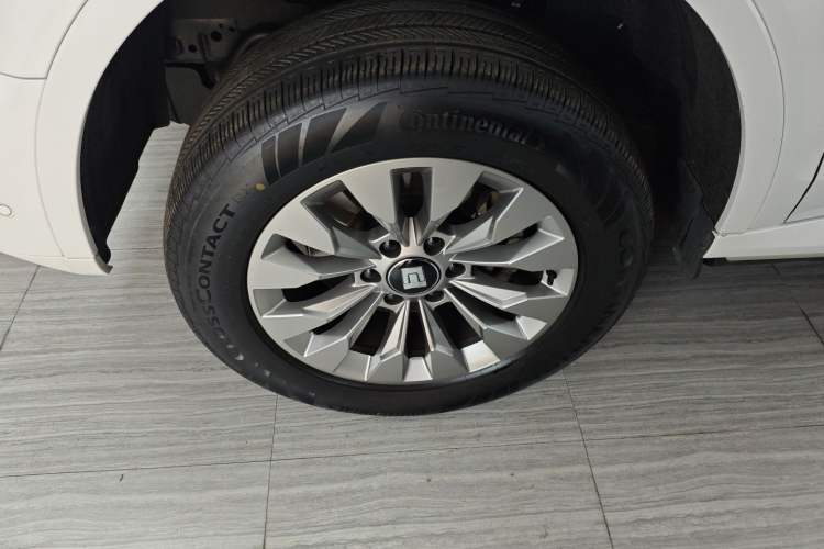 Used Tank 500 New Energy 2023 Hi4-T Exterior 4