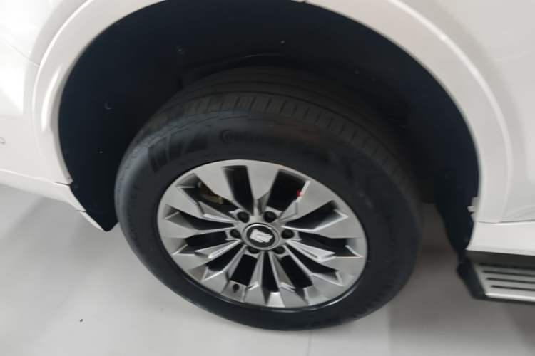 Used Tank 500 New Energy 2023 Hi4-T Exterior 5