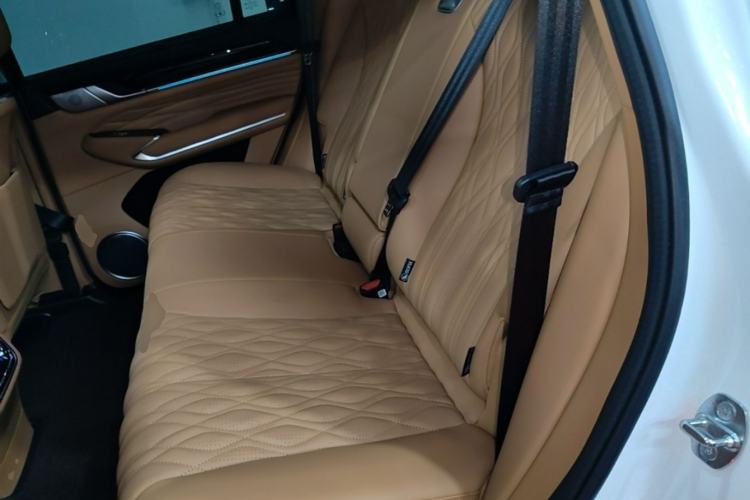 Used Tank 500 New Energy 2023 Hi4-T Left Rear Seat