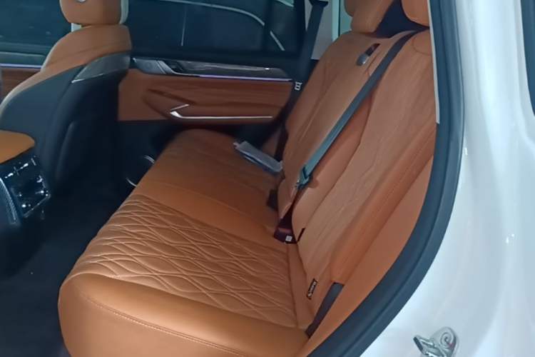Used Tank 500 New Energy 2023 Hi4-T Left Rear Seat