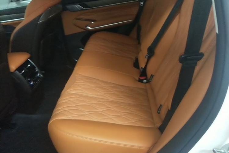 Used Tank 500 New Energy 2023 Hi4-T Left Rear Seat