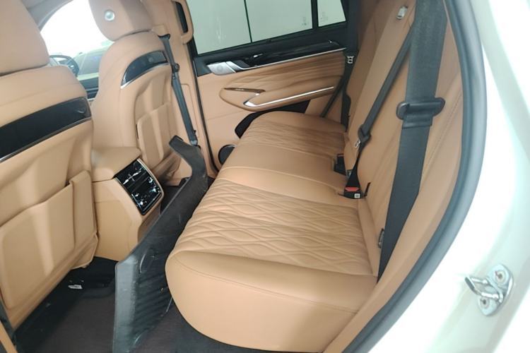 Used Tank 500 New Energy 2023 Hi4-T Left Rear Seat