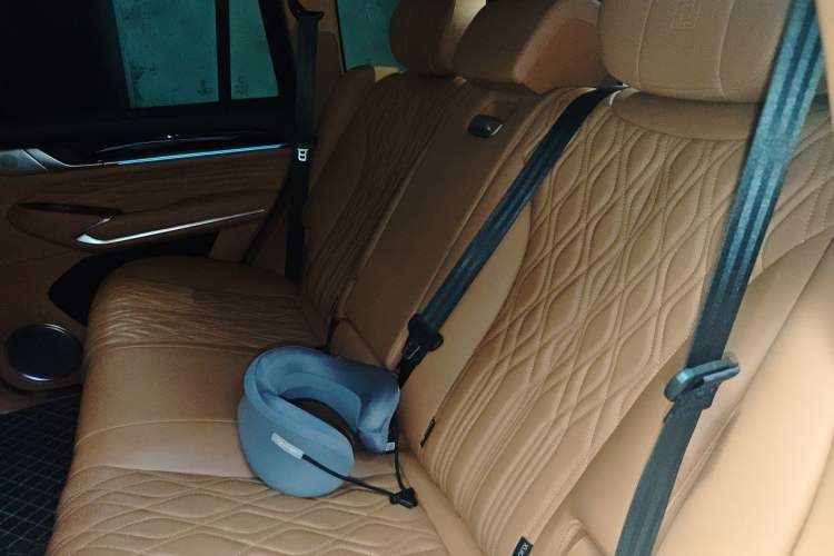 Used Tank 500 New Energy 2023 Hi4-T Left Rear Seat