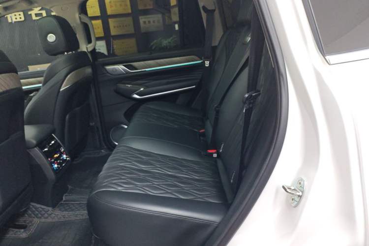 Used Tank 500 New Energy 2023 Hi4-T Left Rear Seat