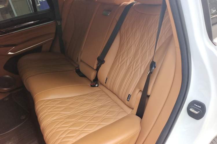 Used Tank 500 New Energy 2023 Hi4-T Left Rear Seat