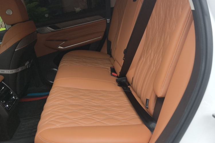 Used Tank 500 New Energy 2023 Hi4-T Left Rear Seat