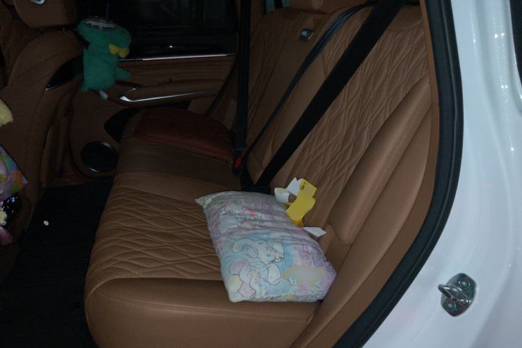 Used Tank 500 New Energy 2023 Hi4-T Left Rear Seat