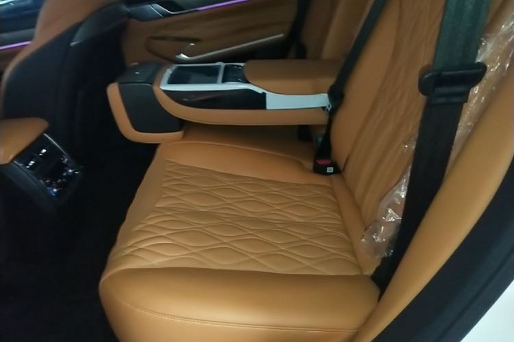 Used Tank 500 New Energy 2023 Hi4-T Left Rear Seat