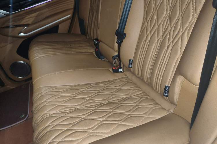 Used Tank 500 New Energy 2023 Hi4-T Left Rear Seat
