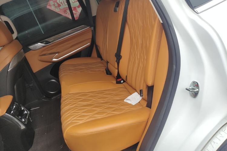 Used Tank 500 New Energy 2023 Hi4-T Left Rear Seat