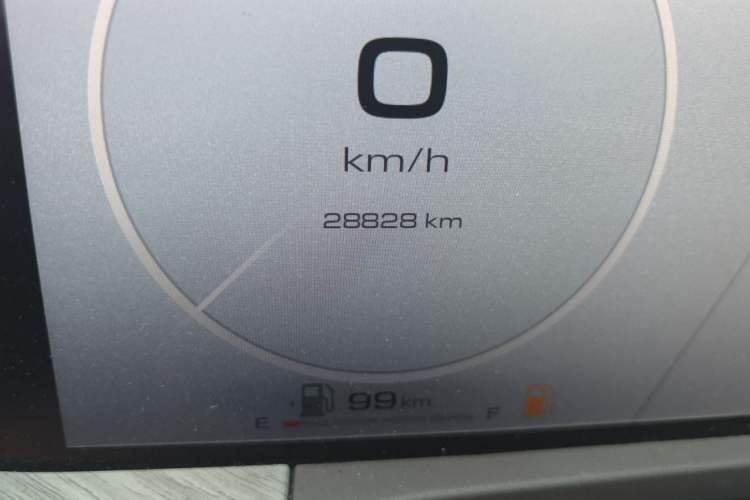 Used Tank 500 New Energy 2023 Hi4-T Odometer Close Up