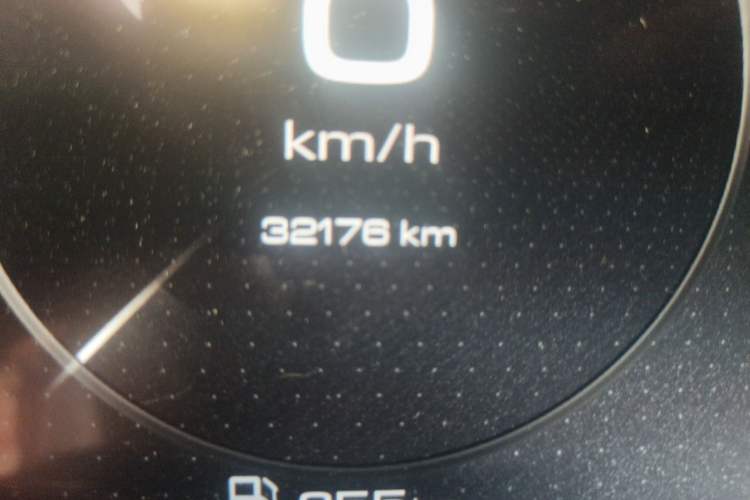 Used Tank 500 New Energy 2023 Hi4-T Odometer Close Up
