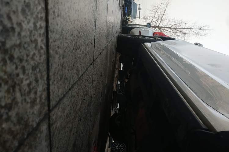Used Tank 500 New Energy 2023 Hi4-T Right Side Sill