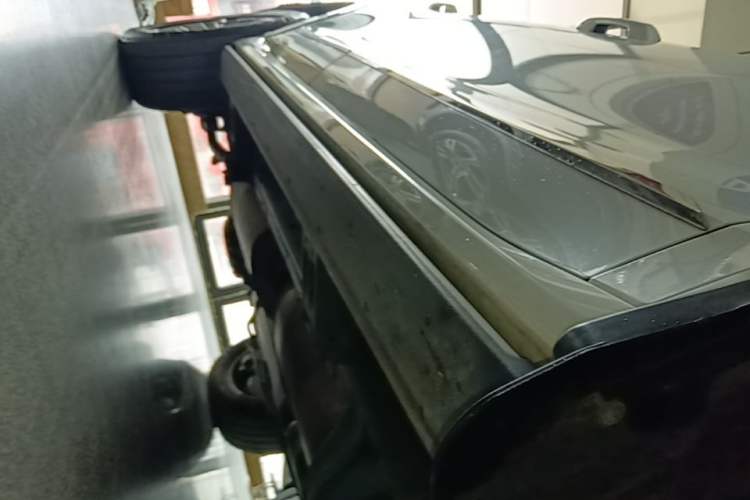 Used Tank 500 New Energy 2023 Hi4-T Right Side Sill