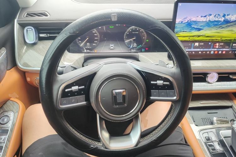Used Tank 500 New Energy 2023 Hi4-T Steering Wheel