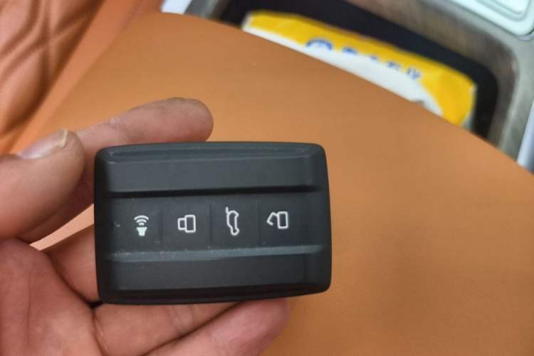 Used Tank 500 New Energy 2023 Hi4-T Vehicle Key