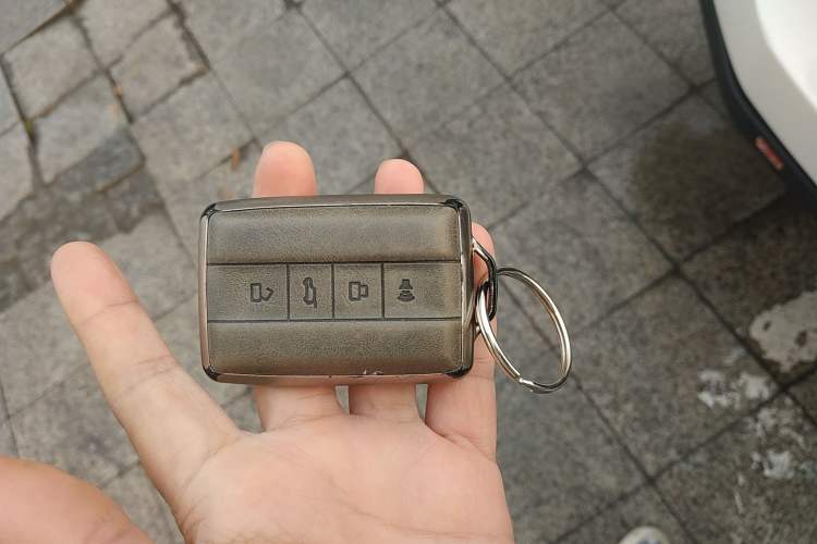 Used Tank 500 New Energy 2023 Hi4-T Vehicle Key