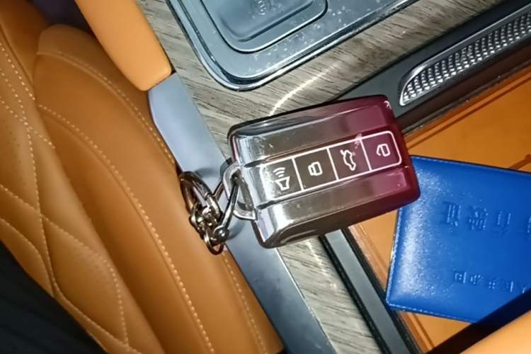 Used Tank 500 New Energy 2023 Hi4-T Vehicle Key