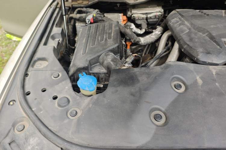 Used Tank 500 New Energy 2023 Hi4-T Engine Bay Right