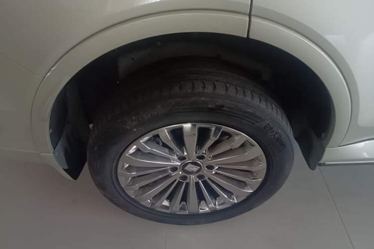 Used Tank 500 New Energy 2023 Hi4-T Exterior 5