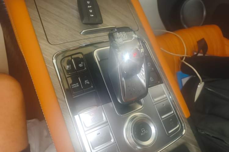 Used Tank 500 New Energy 2023 Hi4-T Gear Lever