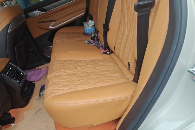 Used Tank 500 New Energy 2023 Hi4-T Left Rear Seat