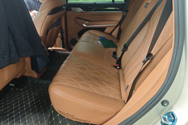 Used Tank 500 New Energy 2023 Hi4-T Left Rear Seat