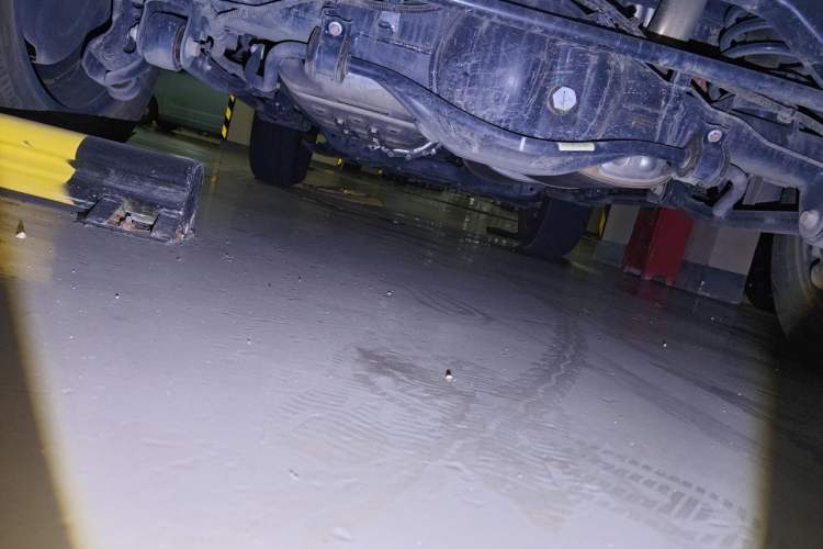 Used Tank 500 New Energy 2024 Hi4-T Chassis Rear
