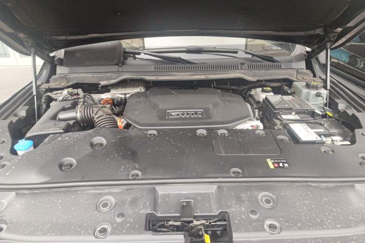 Used Tank 500 New Energy 2024 Hi4-T Engine Bay