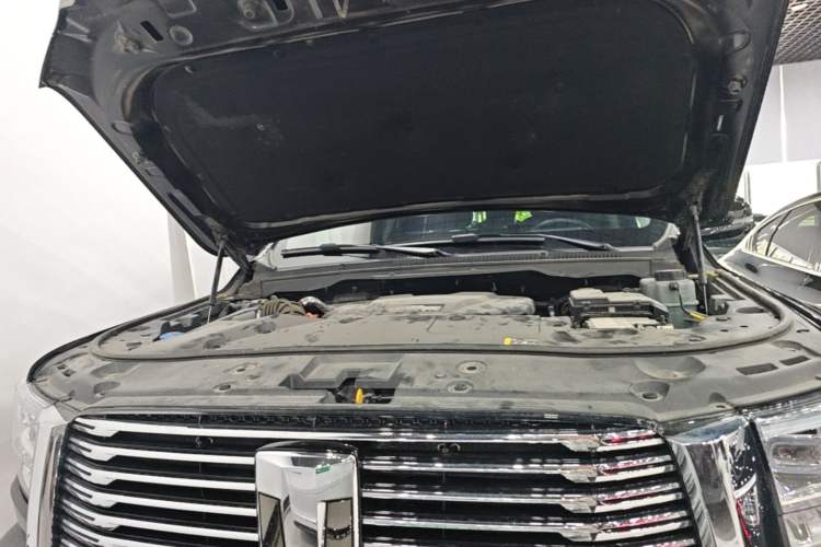 Used Tank 500 New Energy 2024 Hi4-T Engine Bay