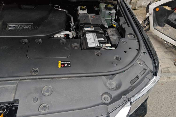Used Tank 500 New Energy 2024 Hi4-T Engine Bay Left