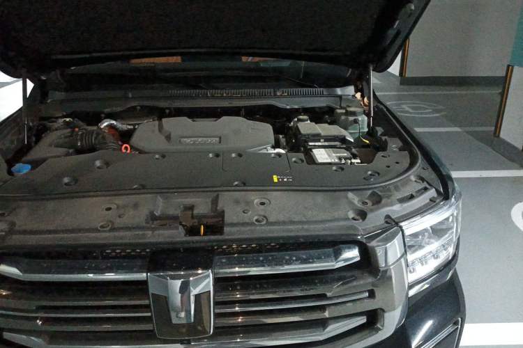 Used Tank 500 New Energy 2024 Hi4-T Engine Bay Left