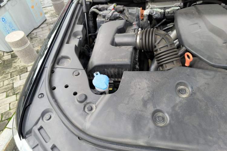 Used Tank 500 New Energy 2024 Hi4-T Engine Bay Right