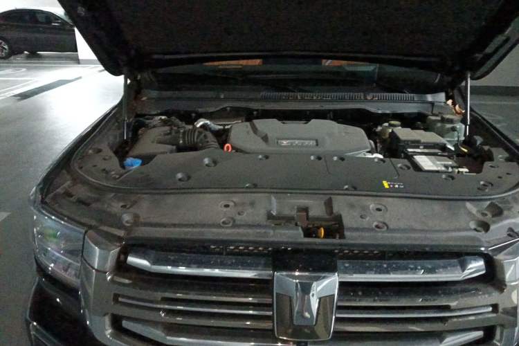 Used Tank 500 New Energy 2024 Hi4-T Engine Bay Right