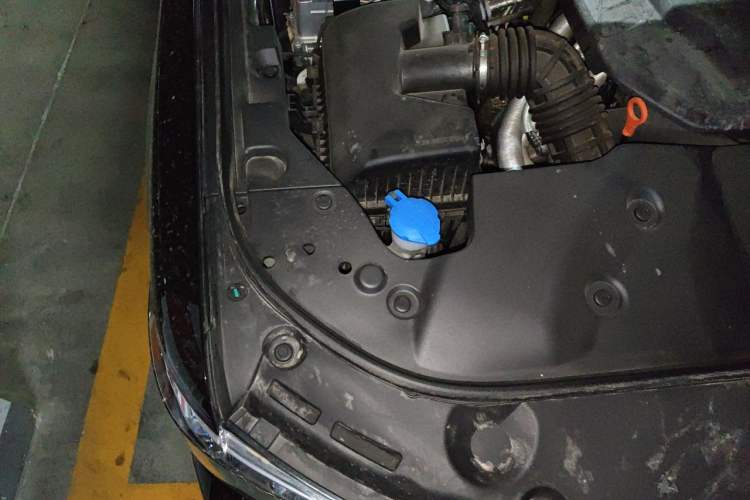 Used Tank 500 New Energy 2024 Hi4-T Engine Bay Right